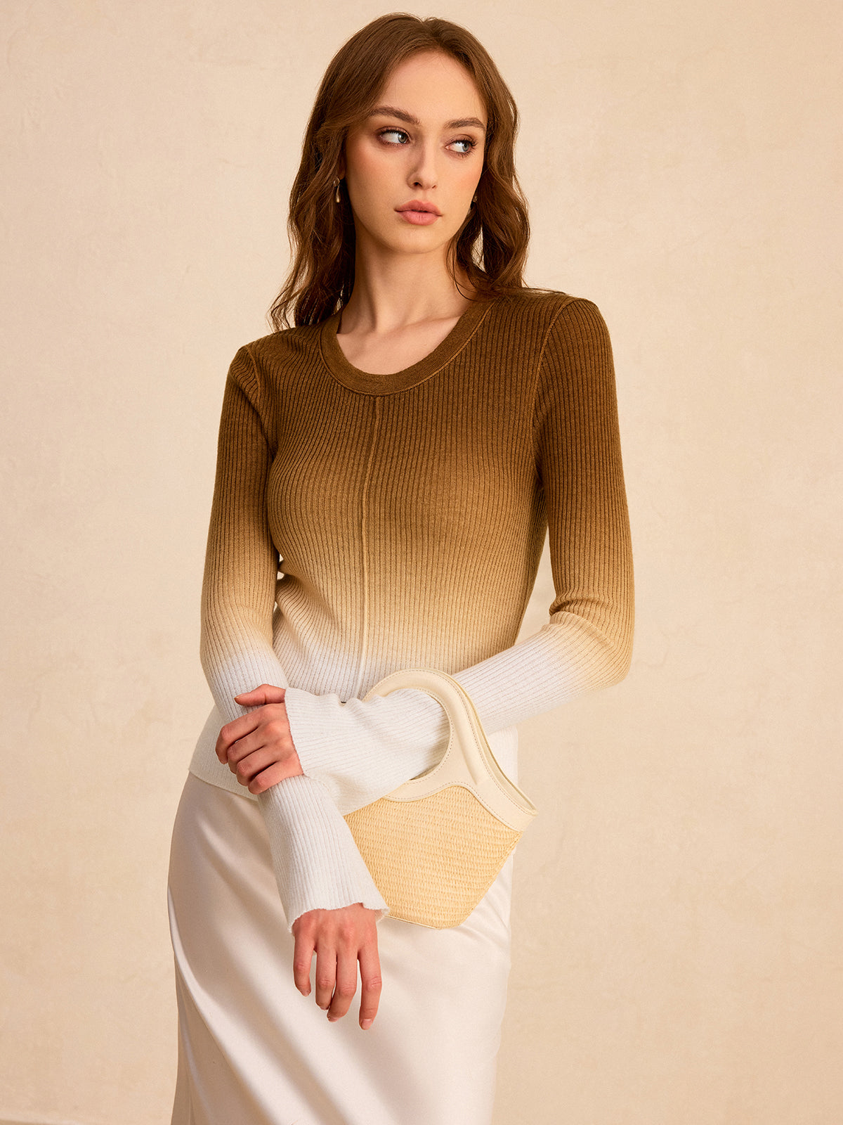 Ombre Slim Knit Top