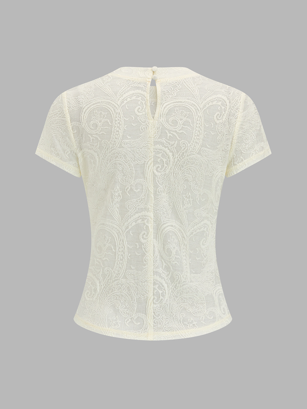 Semi-Sheer Paisley Short Sleeve Top