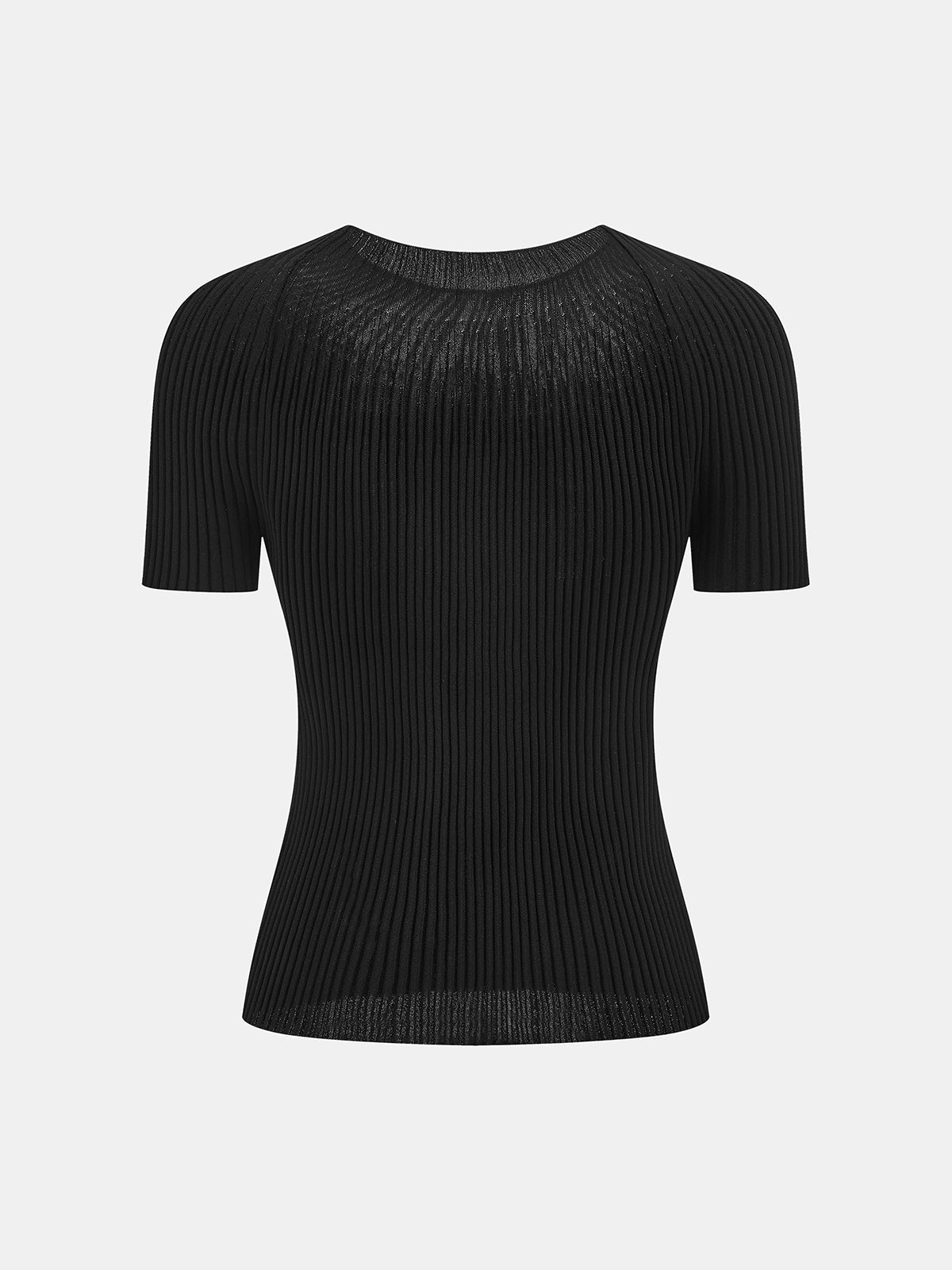 Ribbed Sheer Crew Neck Short Sleeve Knit Top