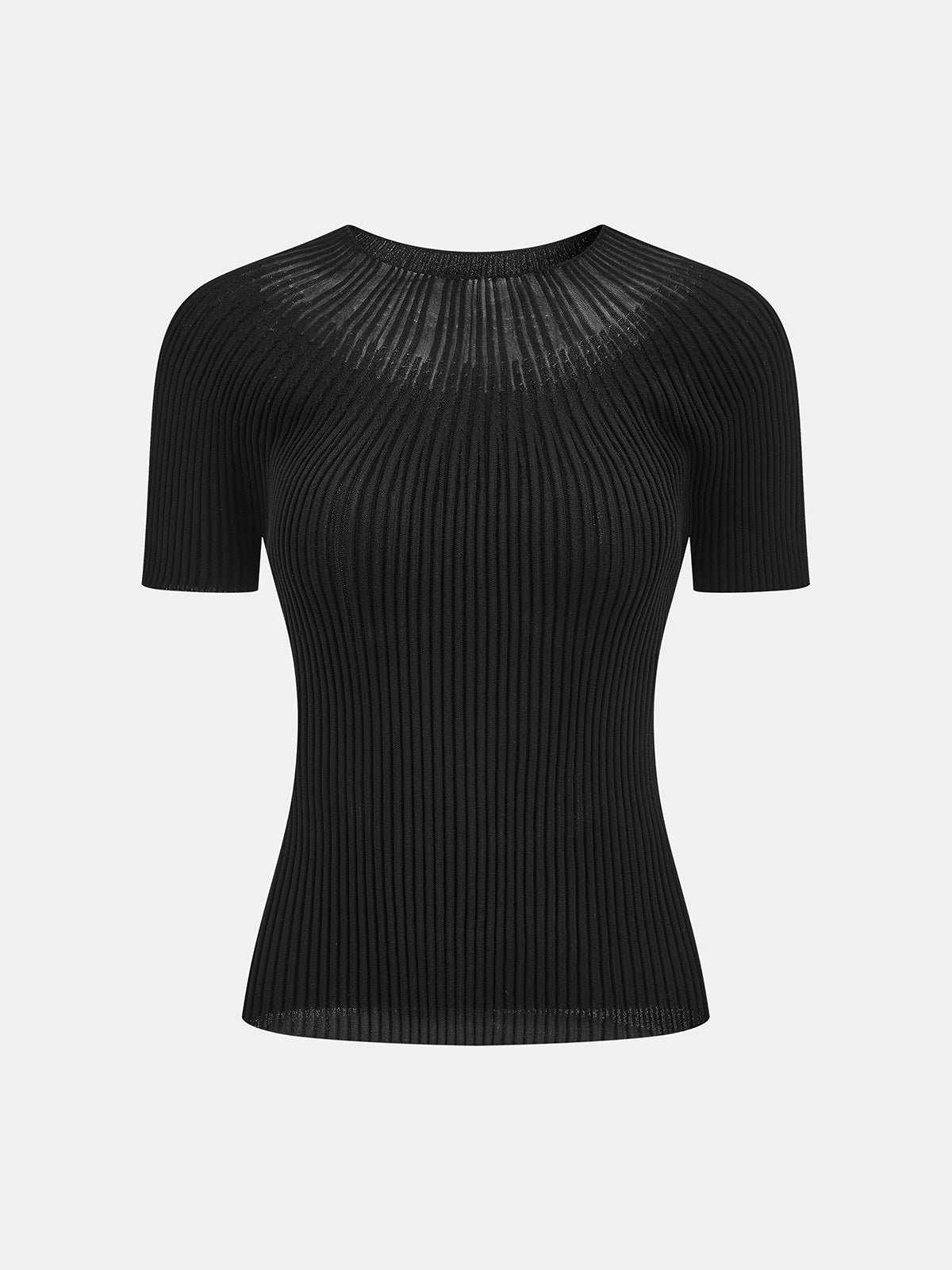 Ribbed Sheer Crew Neck Short Sleeve Knit Top