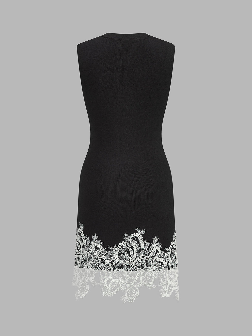 Sleeveless Lace Hem Bodycon Mini Dress
