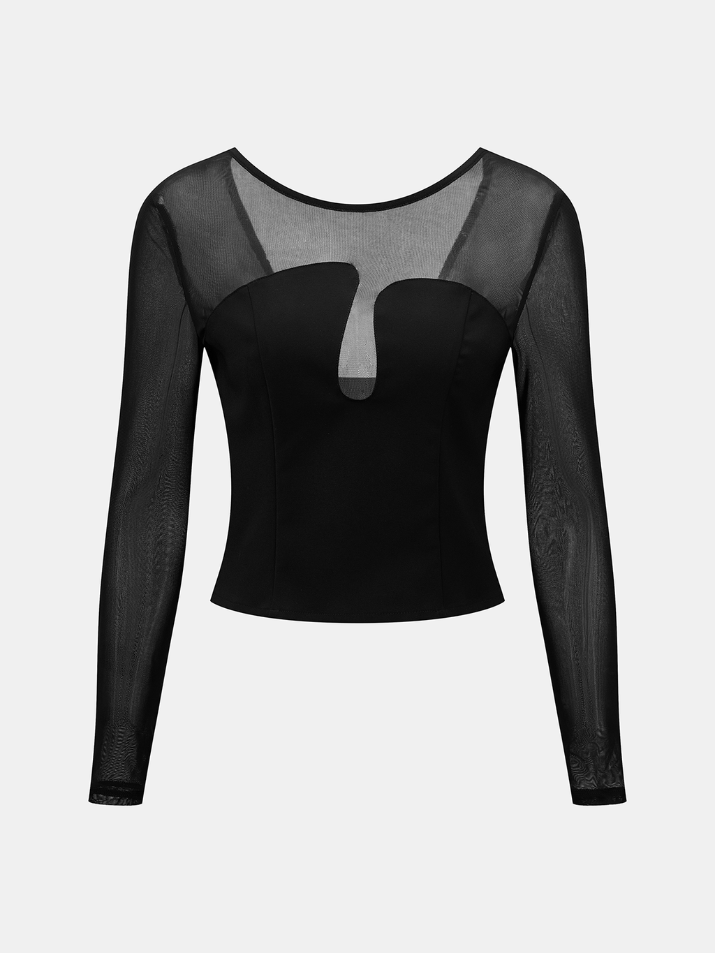 Sheer Mesh Bustier Top