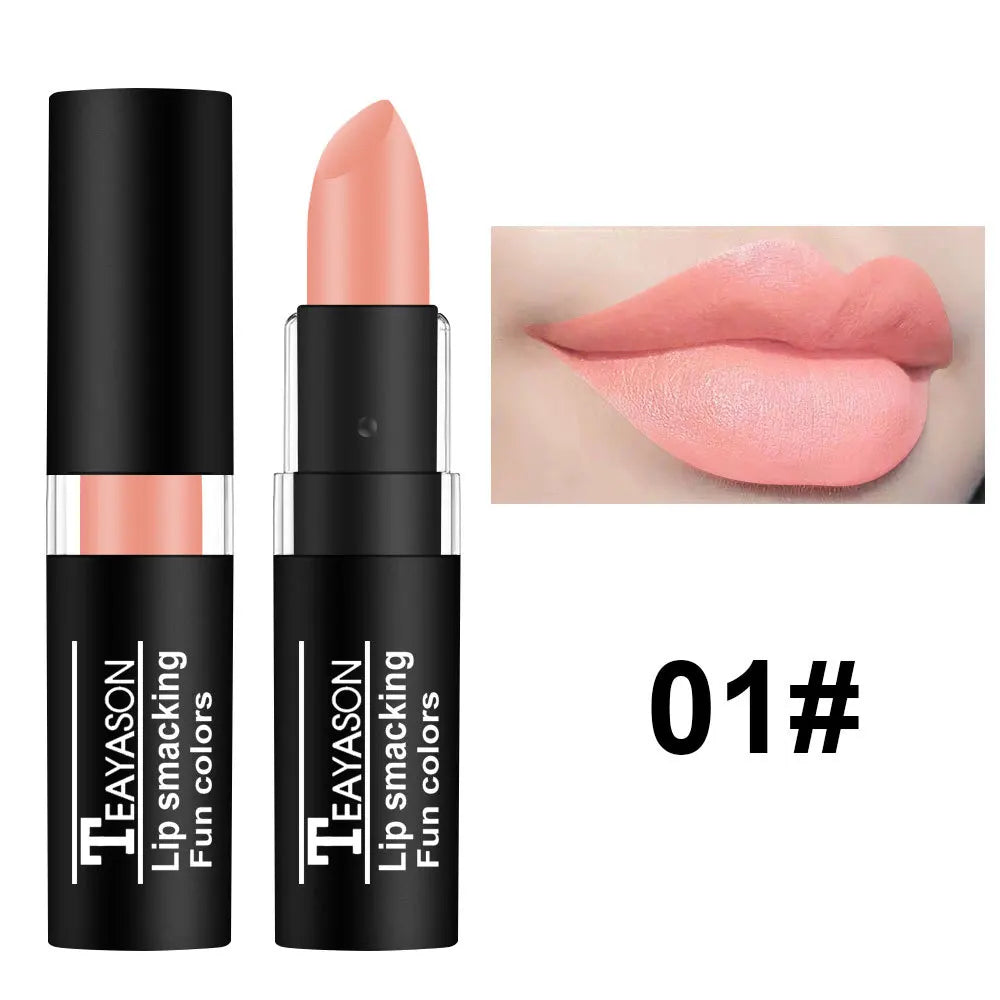 TEAYASON Matte Lipsticks 12 Colors Waterproof Long Lasting Lip Stain Non-stick Cup Sexy Red Black Lipstick Pigment Lip Cosmetics