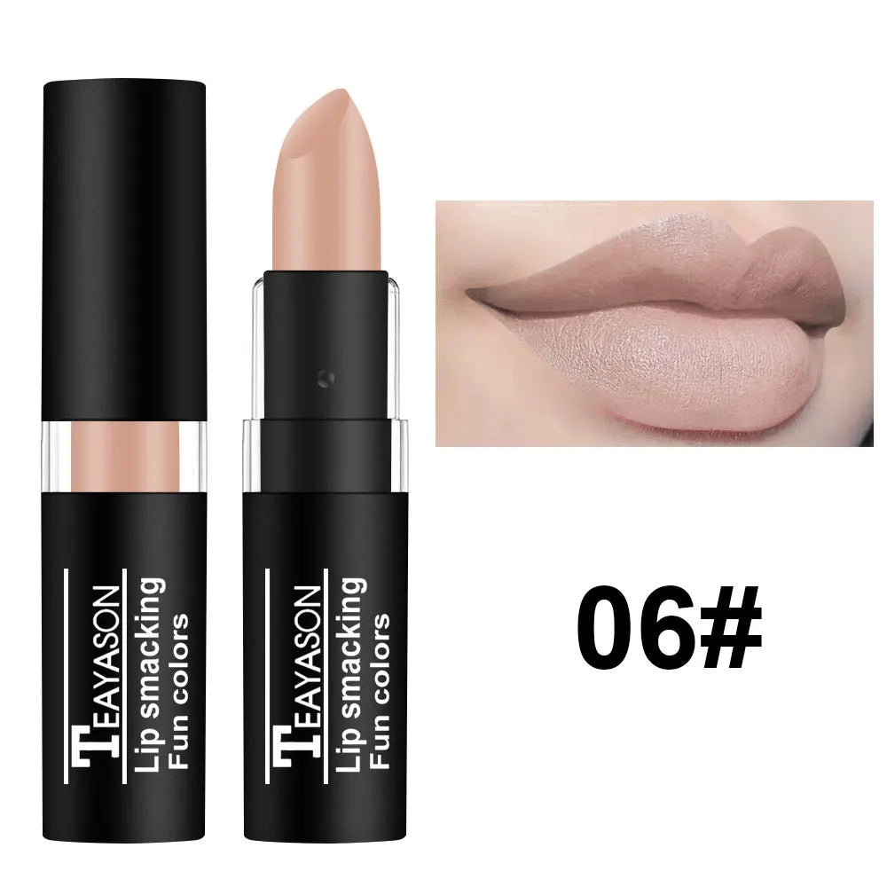 TEAYASON Matte Lipsticks 12 Colors Waterproof Long Lasting Lip Stain Non-stick Cup Sexy Red Black Lipstick Pigment Lip Cosmetics