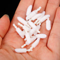 1000pcs Disposable Lip Brush Cotton Head Replacement Head for Lipstick Applicator Makeup Tool For Eyelashes Extension